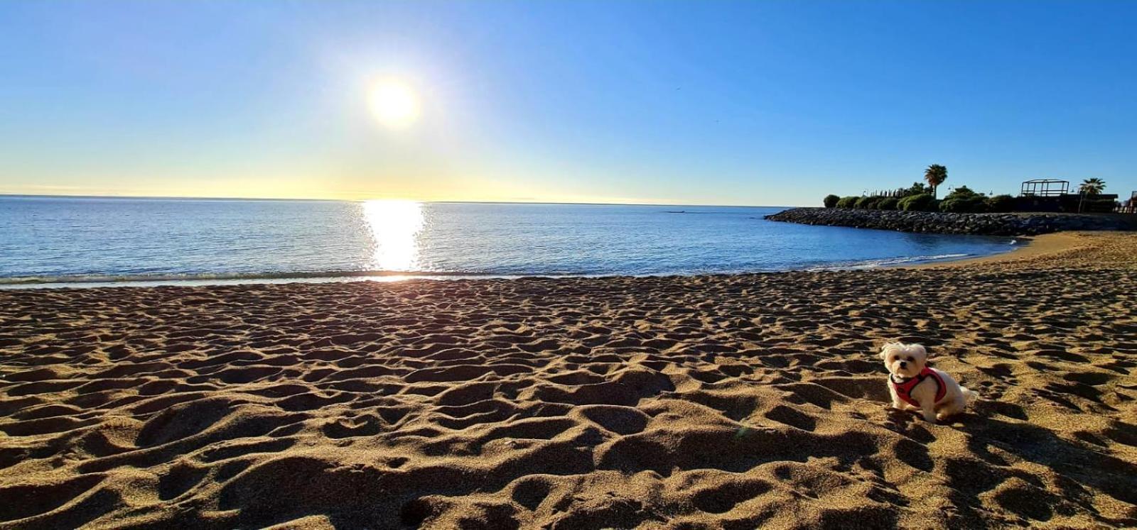 Apartamentos Magic Benalbeach By Benalnova Benalmadena Exterior photo